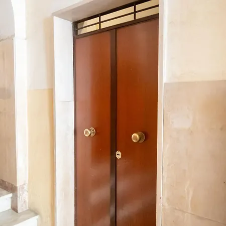 Ltpanella Yellow Pop