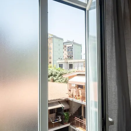 Ltpanella Yellow Pop Roma